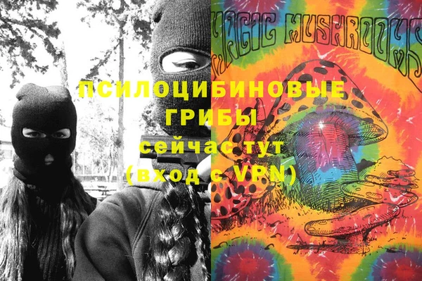 стаф Верхний Тагил