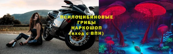 стаф Верхний Тагил