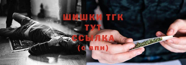 стаф Верхний Тагил