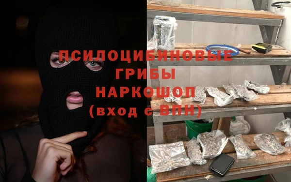 шишки Верхнеуральск