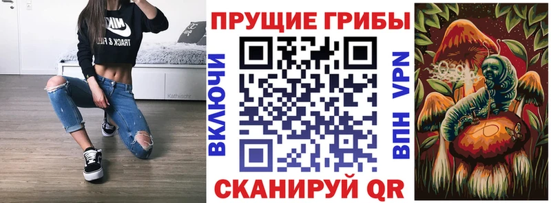 Псилоцибиновые грибы ЛСД  Гаврилов-Ям 