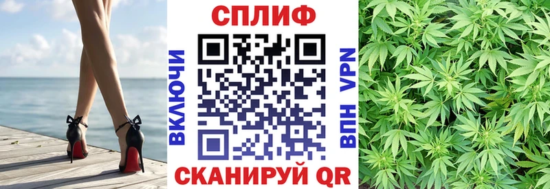 Конопля сатива Гаврилов-Ям